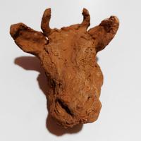 Tête de bœuf ou de taureau (1)