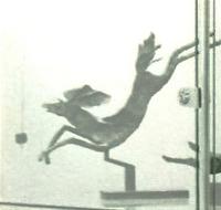  Cheval bondissant Galerie sculpture 1984 On n'a pas d'exemplaire de ce cheval, ni d'autre image 