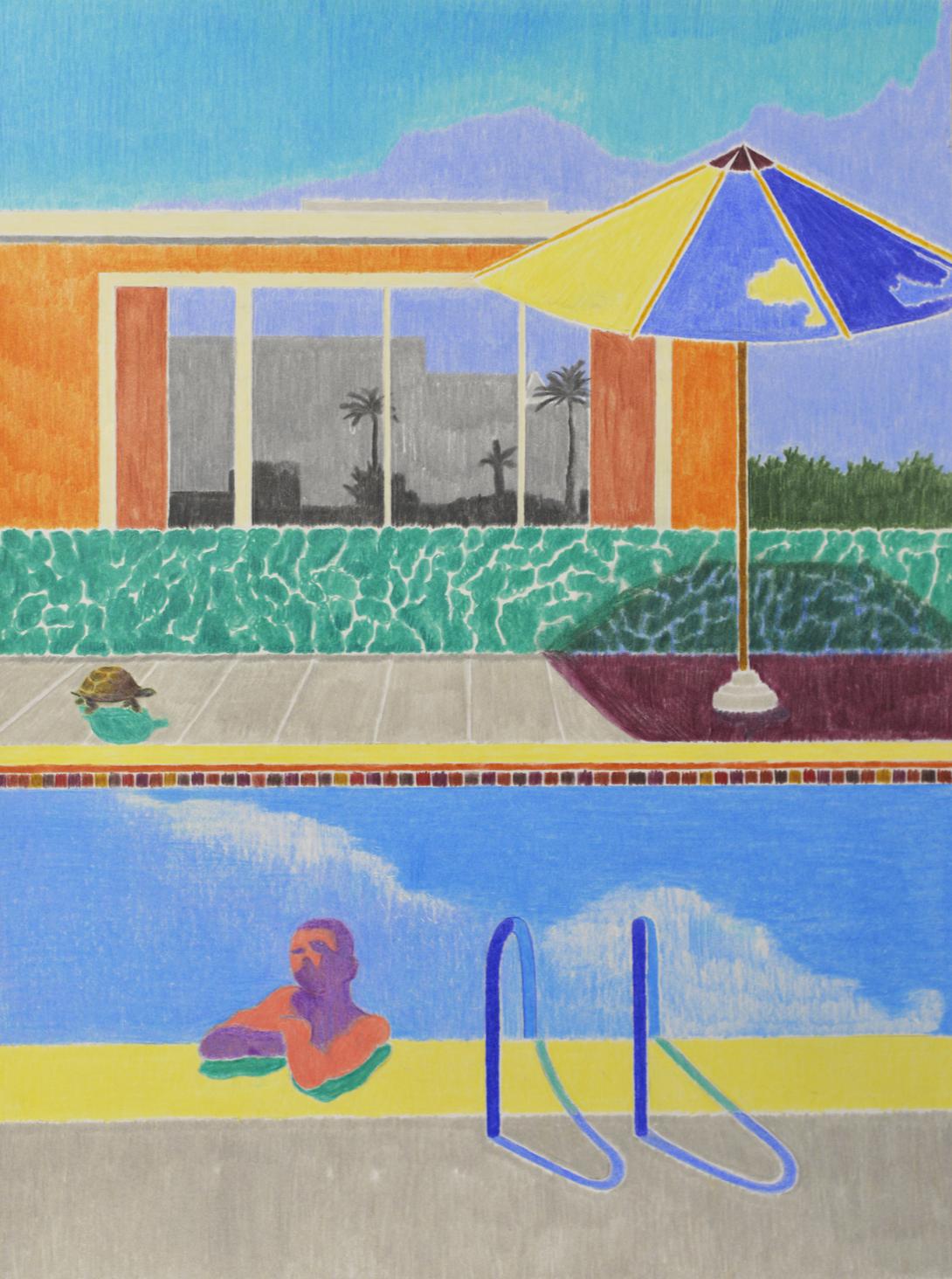 José Cori, David_s turtle, colored pencils on paper, 2022