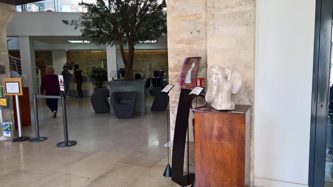 Vue 2 exposition 2019 : Animaux (Sèvres)