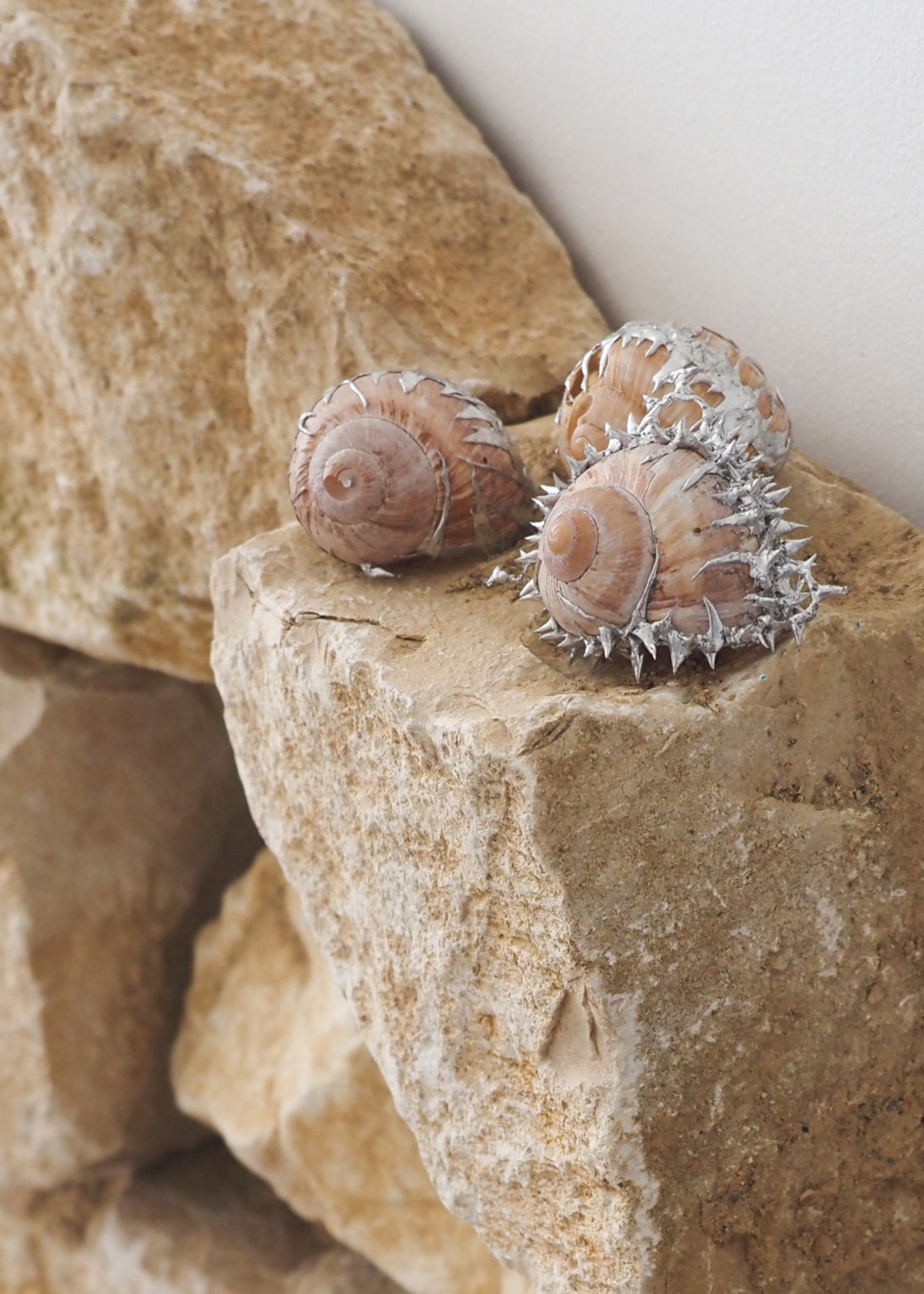 Chloé Saksik En route, mauvaise troupe, 2024