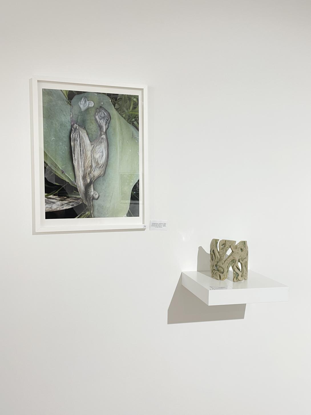 vue exposition Daniel Boursin musée Marzelles 2023