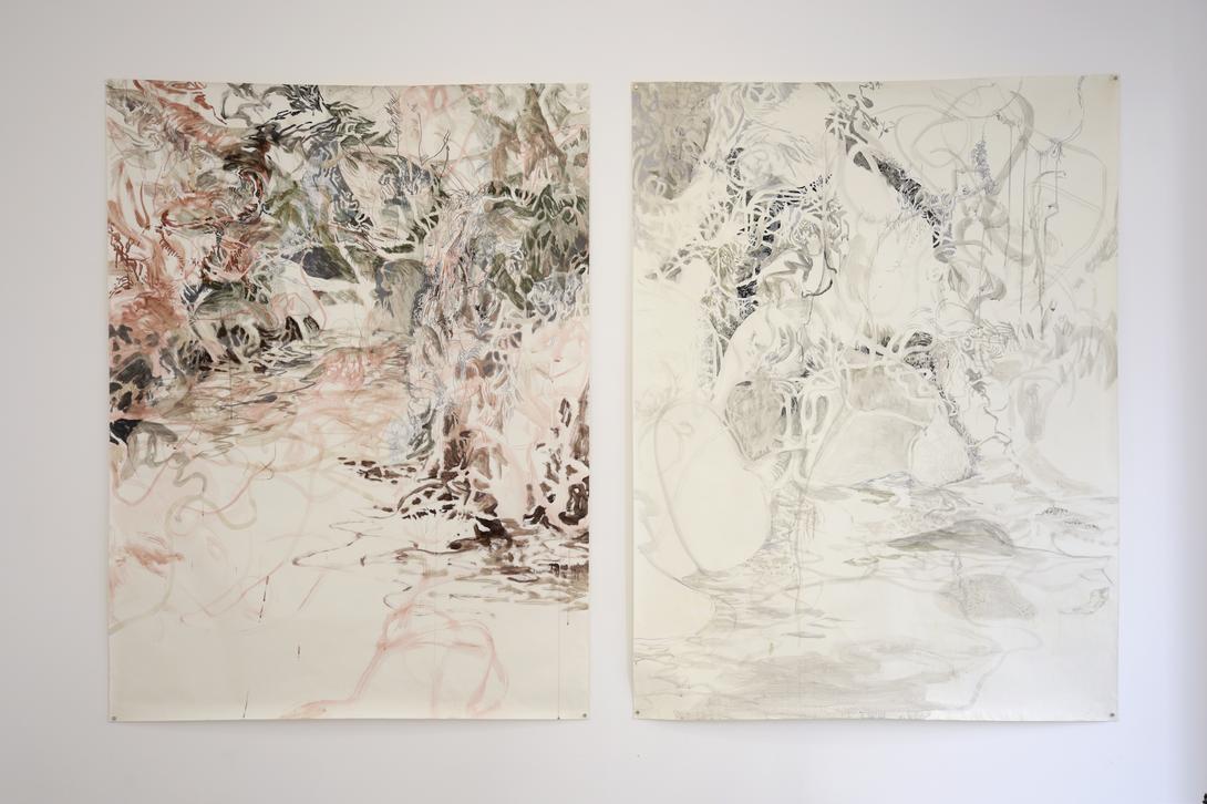 vue de l'exposition animé animal anima