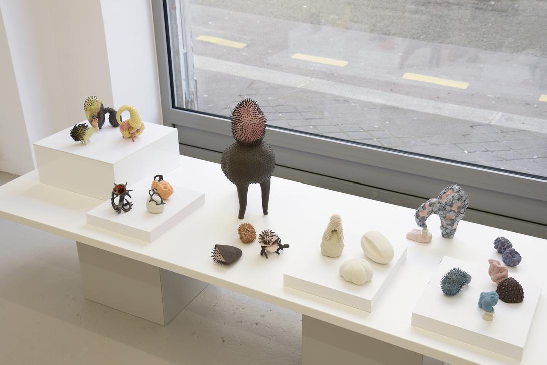 vue de l'exposition animé animal anima