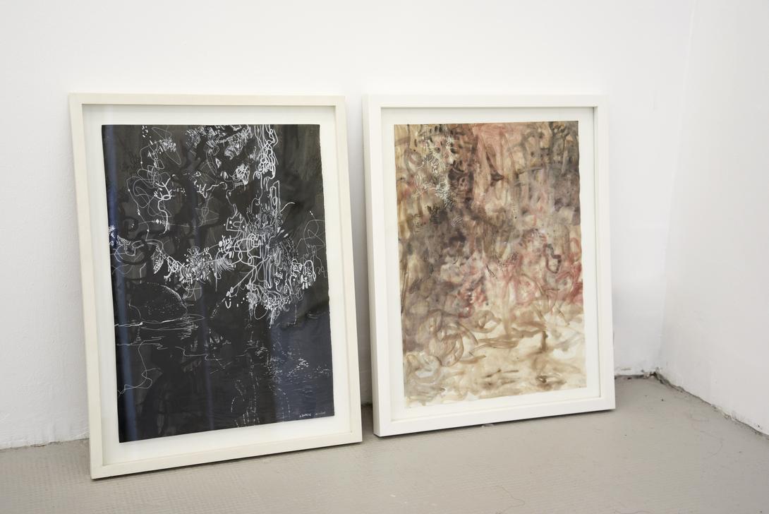 vue de l'exposition animé animal anima