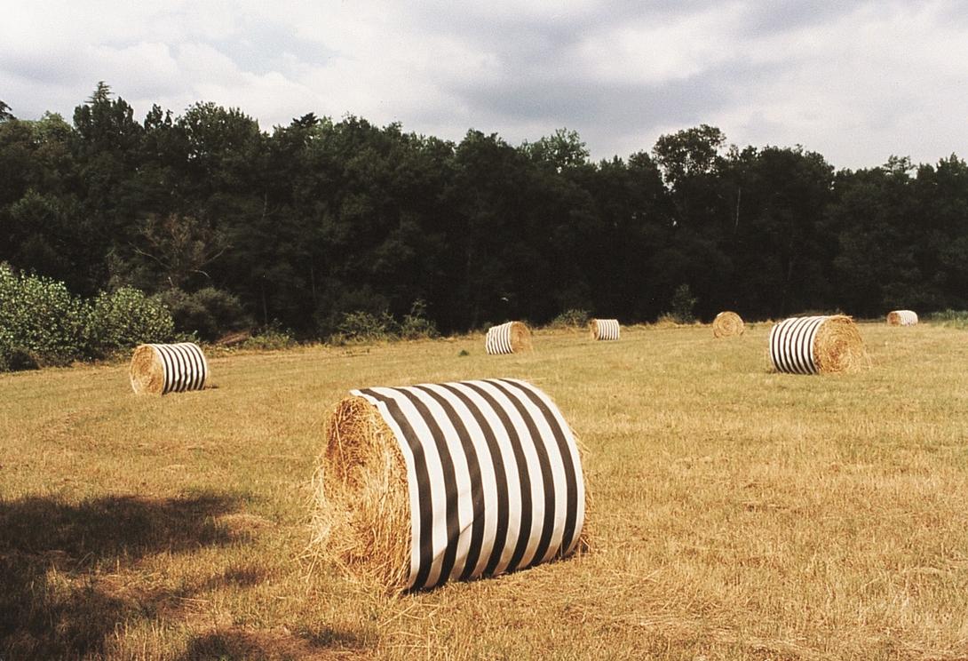 Invitation à Daniel Buren, « Plantations » : travaux in situ, 2026 / Collections