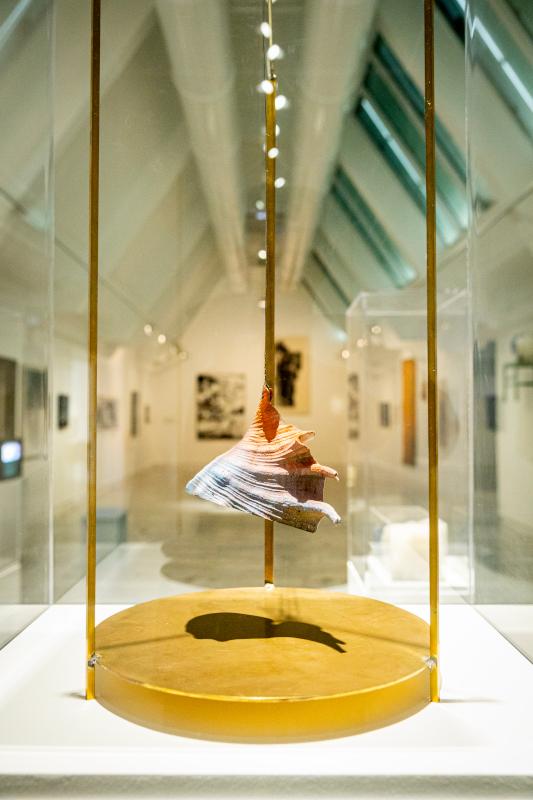 La vie climatique. Histoires sensibles des collections privées - Triennale De leur temps #8