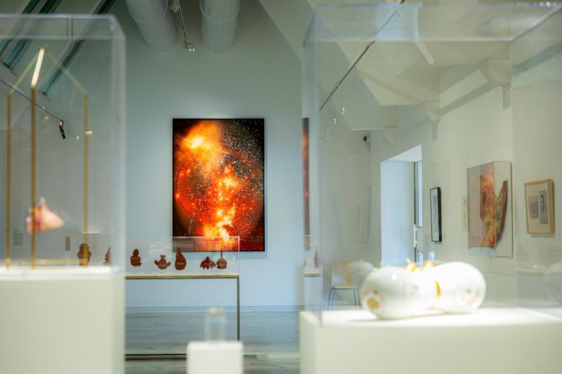 La vie climatique. Histoires sensibles des collections privées - Triennale De leur temps #8