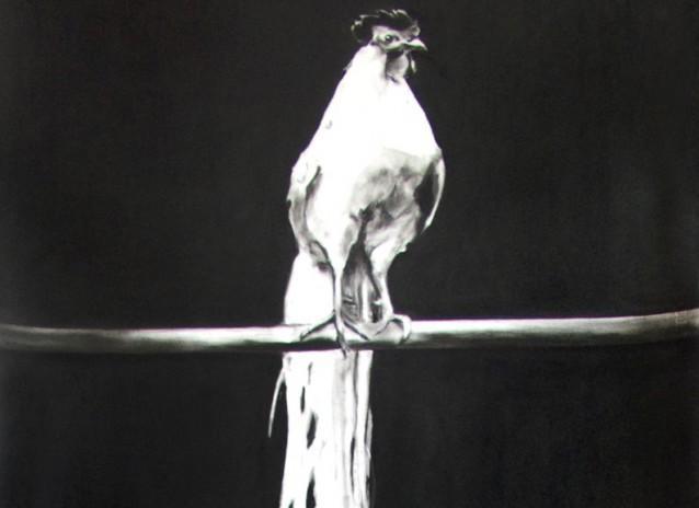 XXL - Le dessin en grand